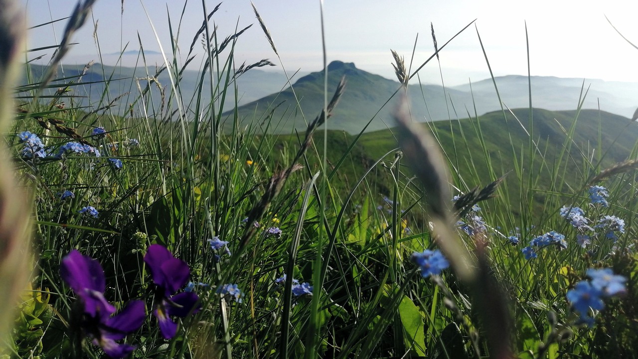 Photo of Others in Saint-Jacques-des-Blats