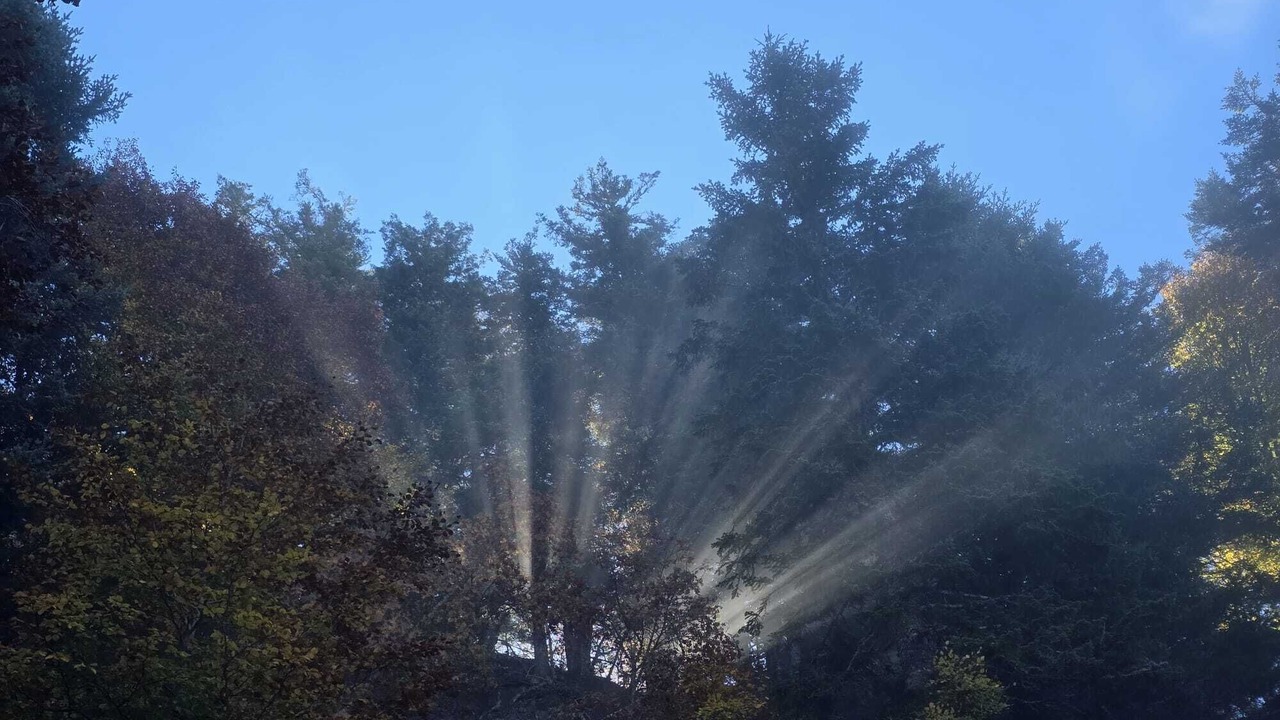 Photo of Others in Saint-Jacques-des-Blats