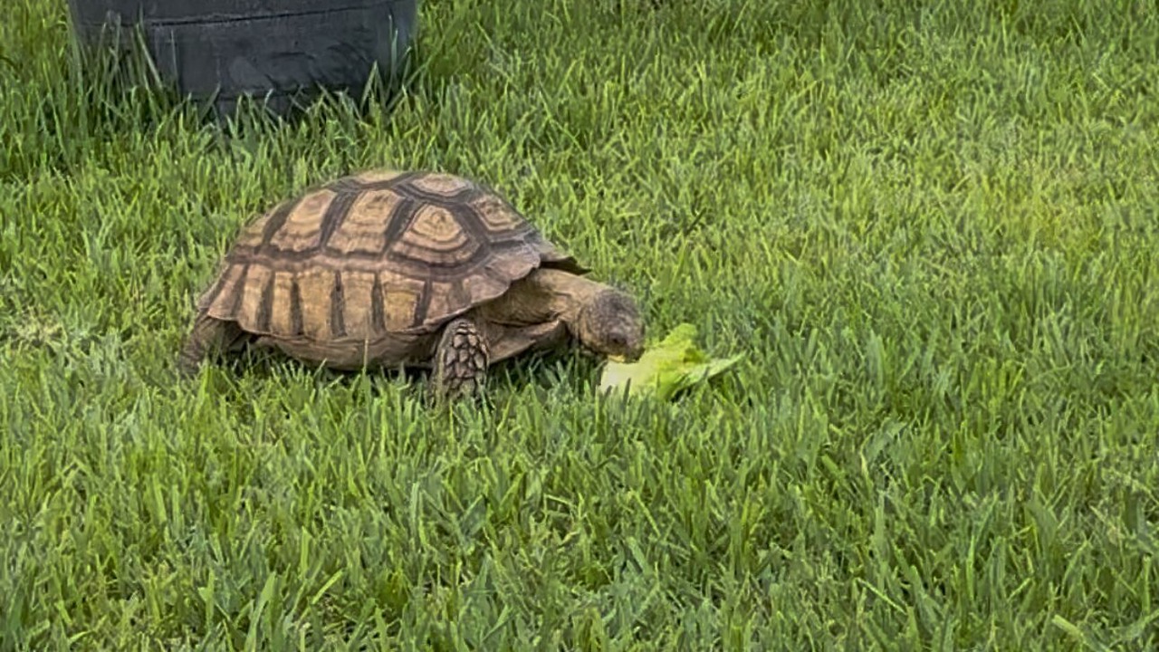 Photo of Outdoor in Cutler Bay