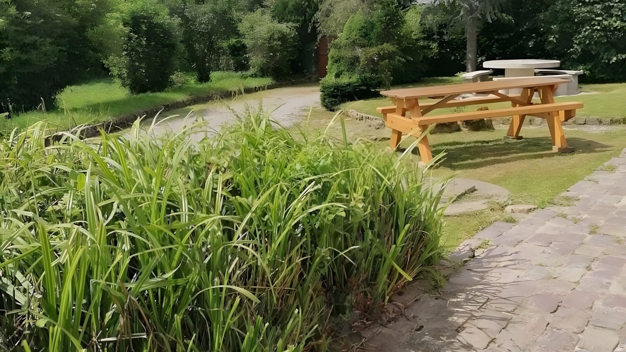 Photo of Outdoor in Belle-et-Houllefort