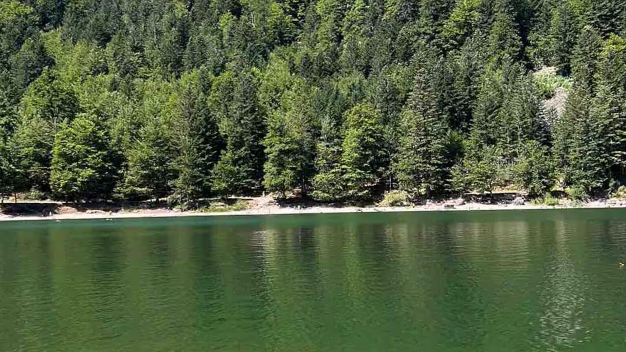 Photo of Others in Champdray