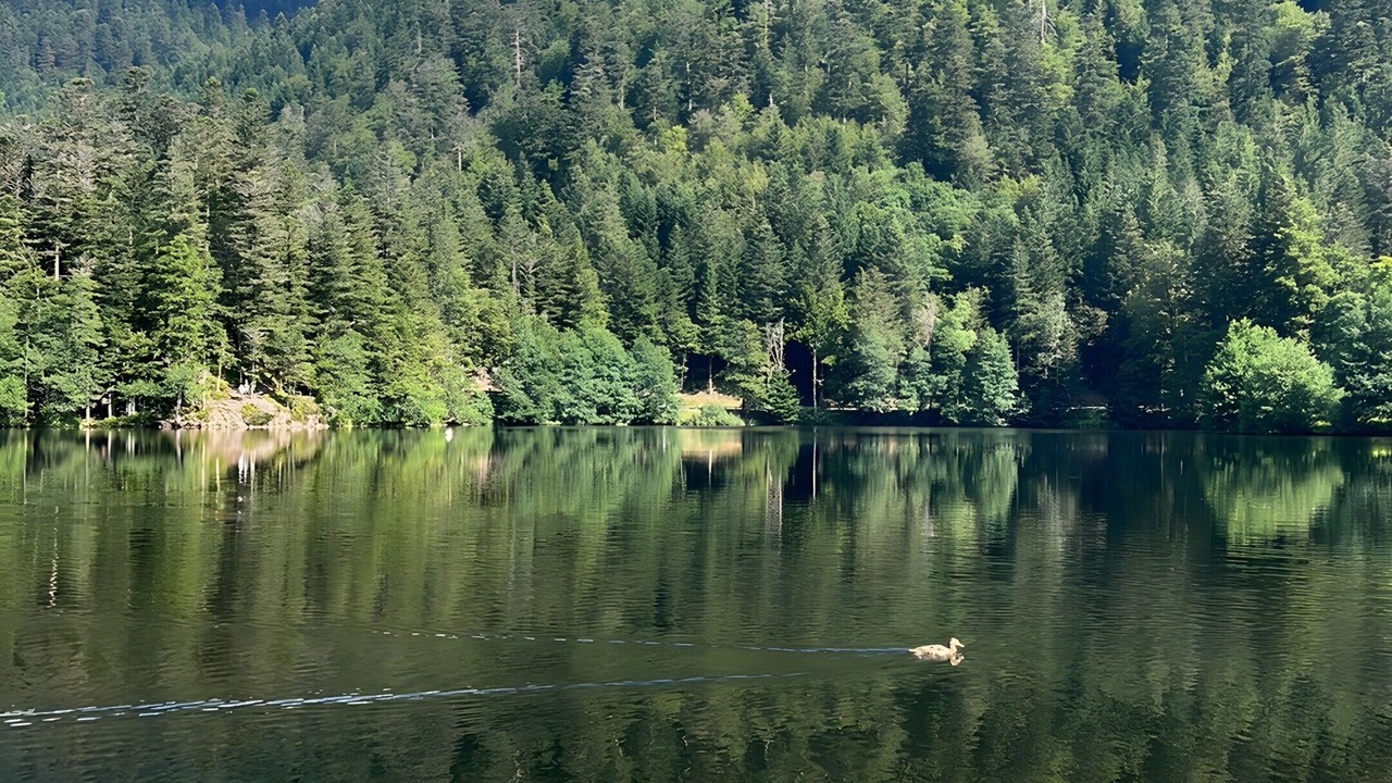 Photo of Others in Champdray