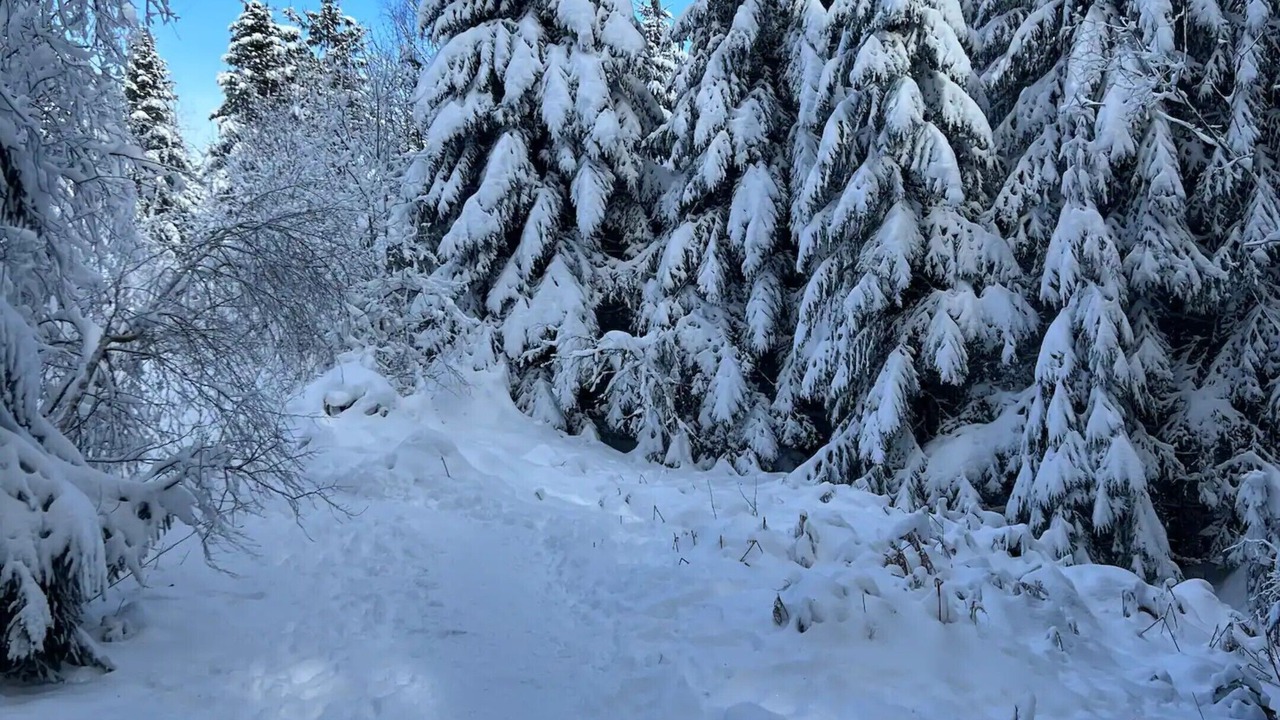Photo of Others in Champdray