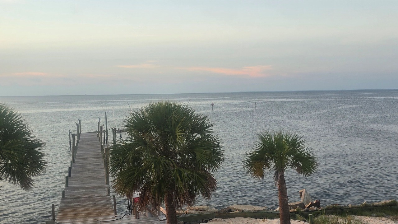 Photo of Others in Fort Morgan Pines