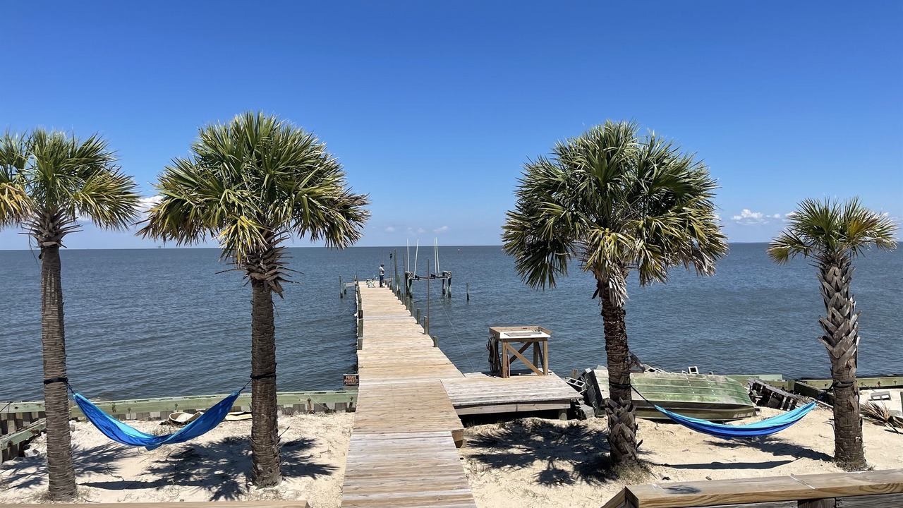 Photo of Others in Fort Morgan Pines