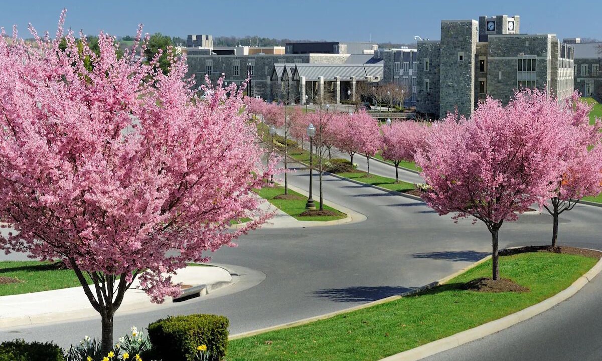 Photo of Others in Blacksburg
