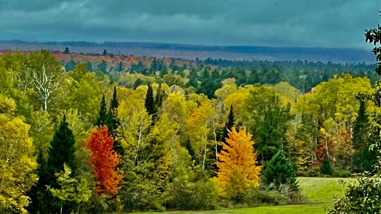 Photo of Others in Island Falls