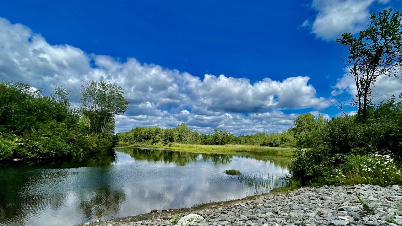 Photo of Others in Island Falls