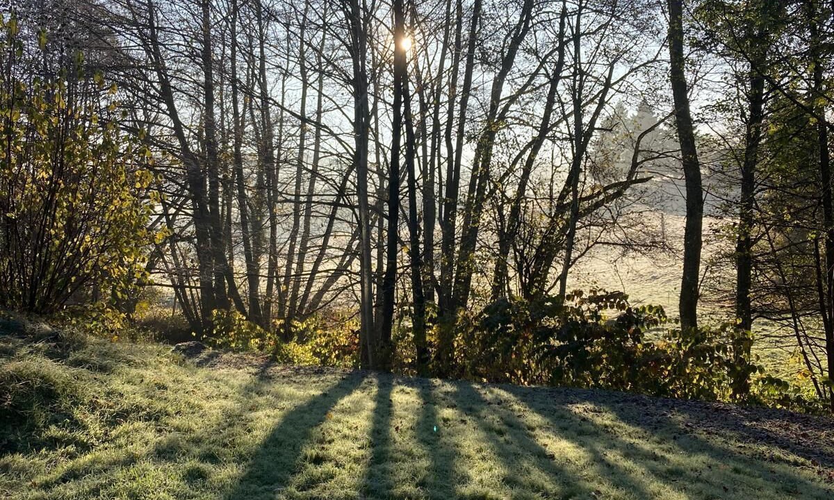 Photo of Others in Le Hohwald
