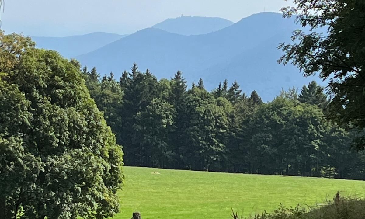 Photo of Others in Le Hohwald