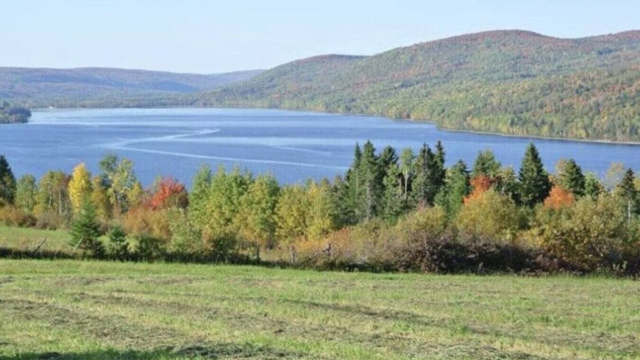 Photo of Others in Pohenegamook