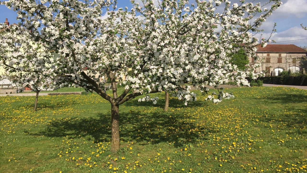 Photo of Outdoor in Bocquegney