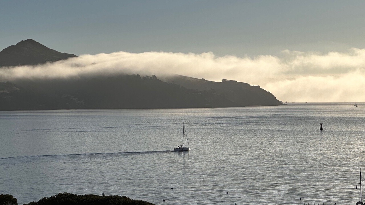 Photo of Others in Sausalito