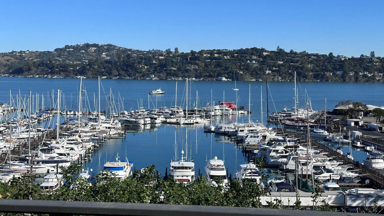 Photo of Others in Sausalito