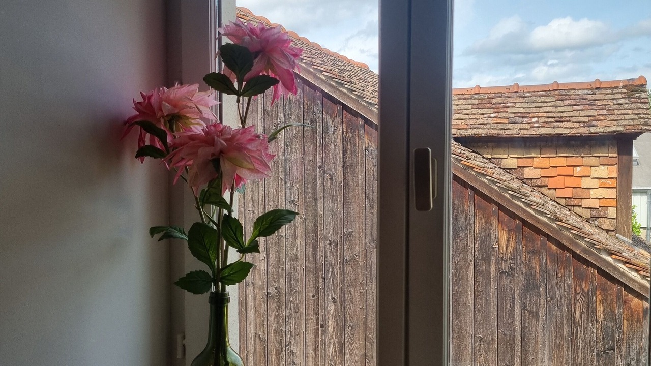 Photo of Others in Genlis