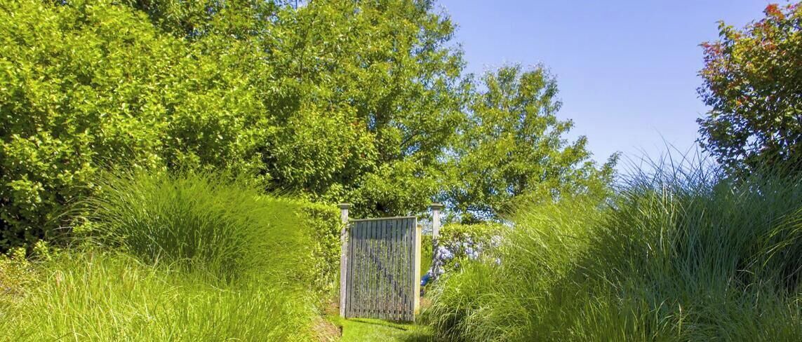 Photo of Outdoor in Dionis