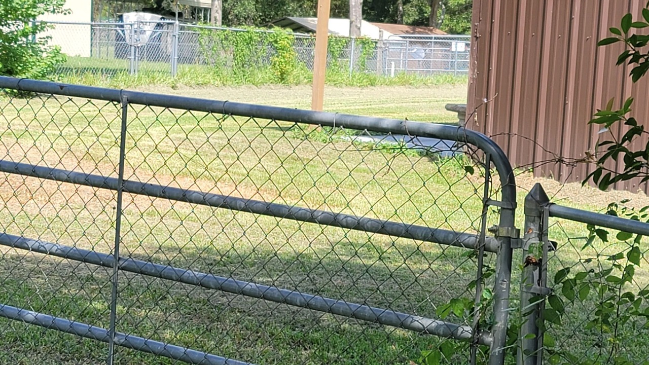 Photo of Outdoor in Trinity