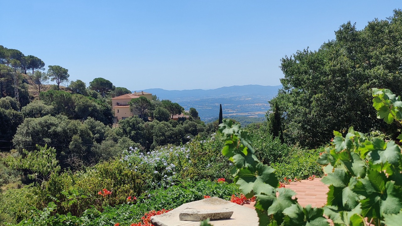 Photo of Outdoor in El Serrat de l'Ametlla