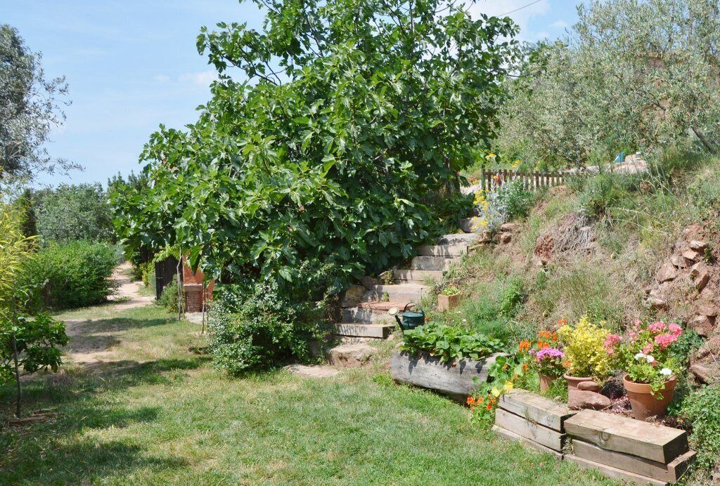 Photo of Outdoor in El Serrat de l'Ametlla