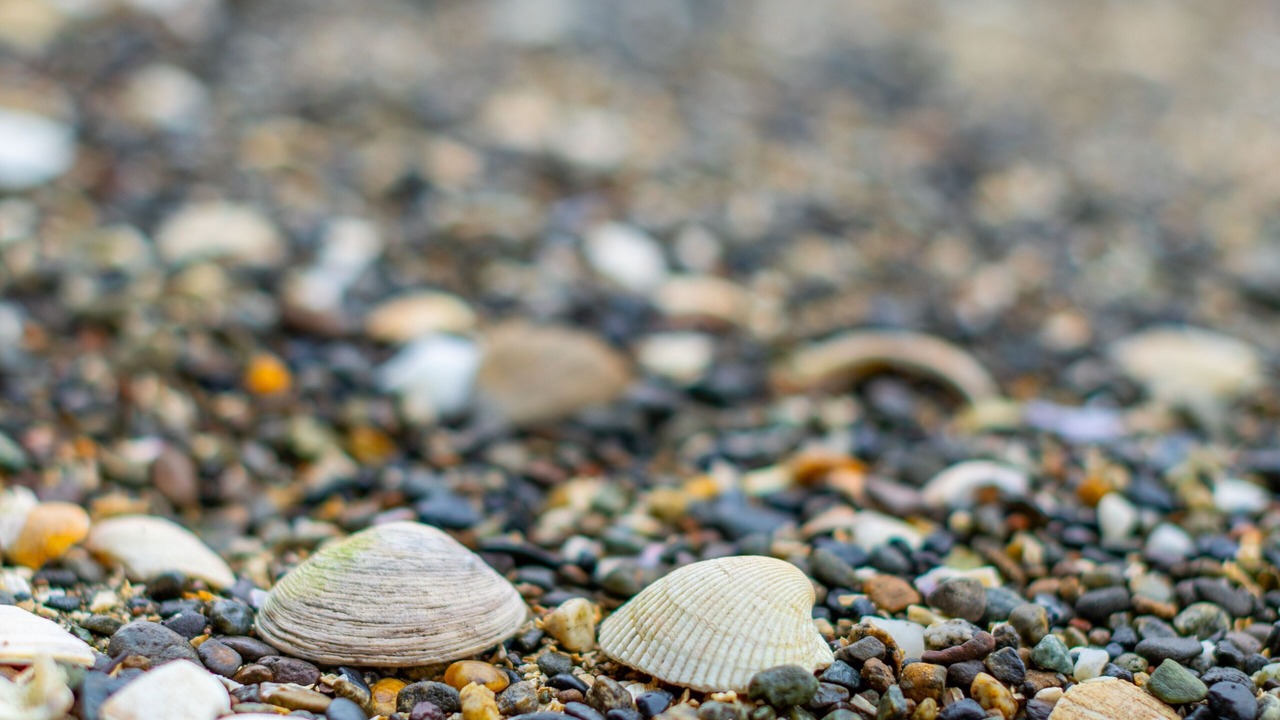 Photo of Others in West Hills