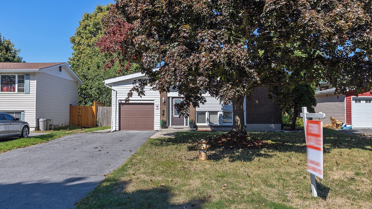 Photo of Outdoor in Kingston