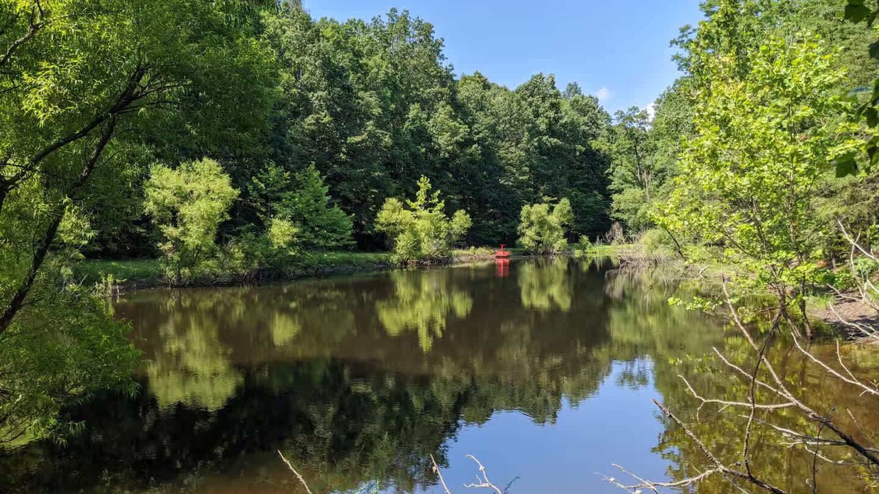 Photo of Others in Berkeley Springs