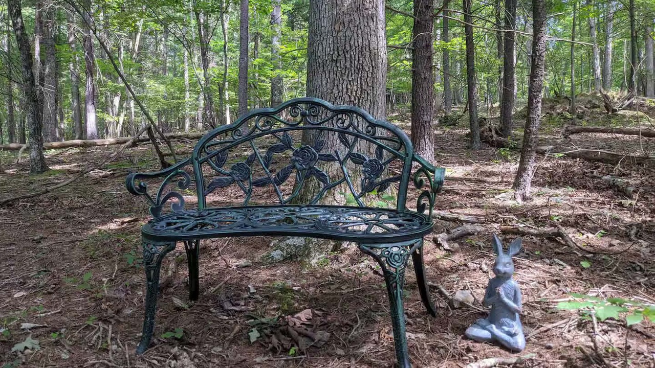 Photo of Others in Berkeley Springs