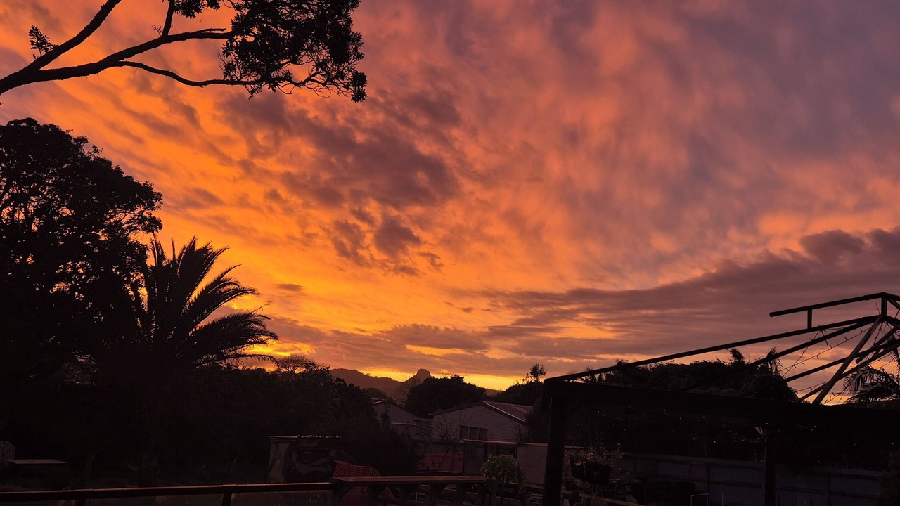 Photo of Outdoor in Te Kopuru