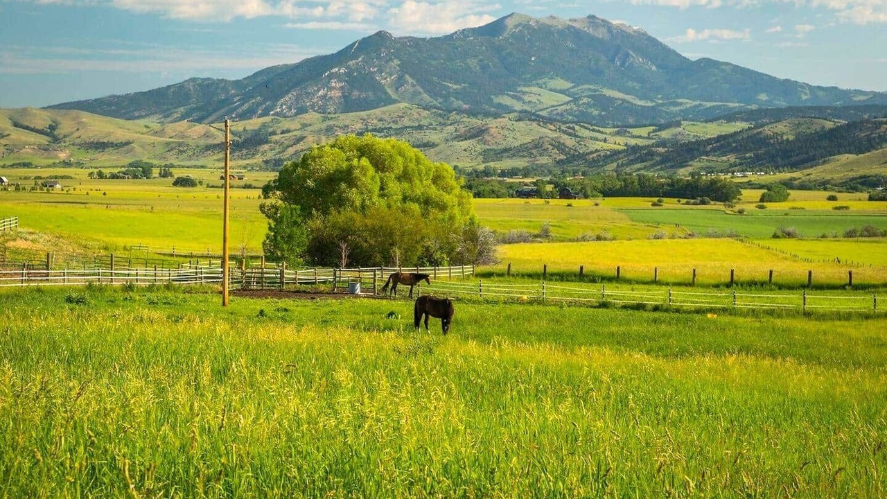 Photo of Others in Bozeman