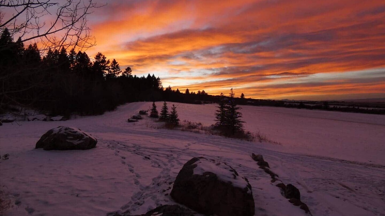 Photo of Others in Bozeman