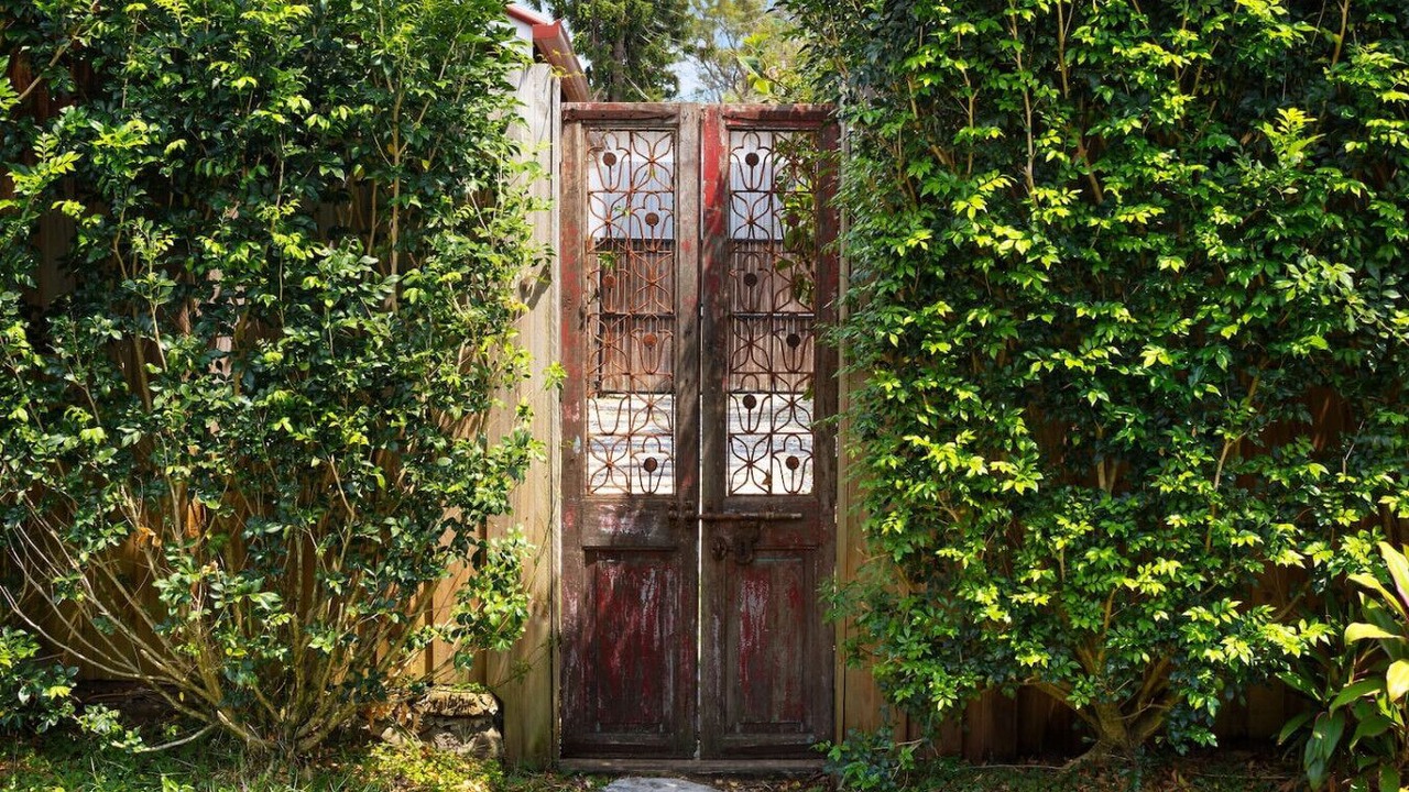 Photo of Outdoor in Mullumbimby