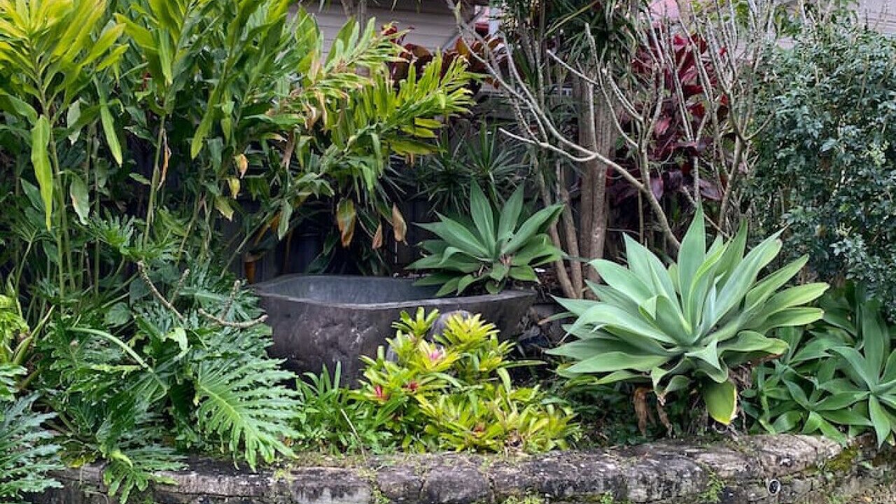 Photo of Outdoor in Mullumbimby