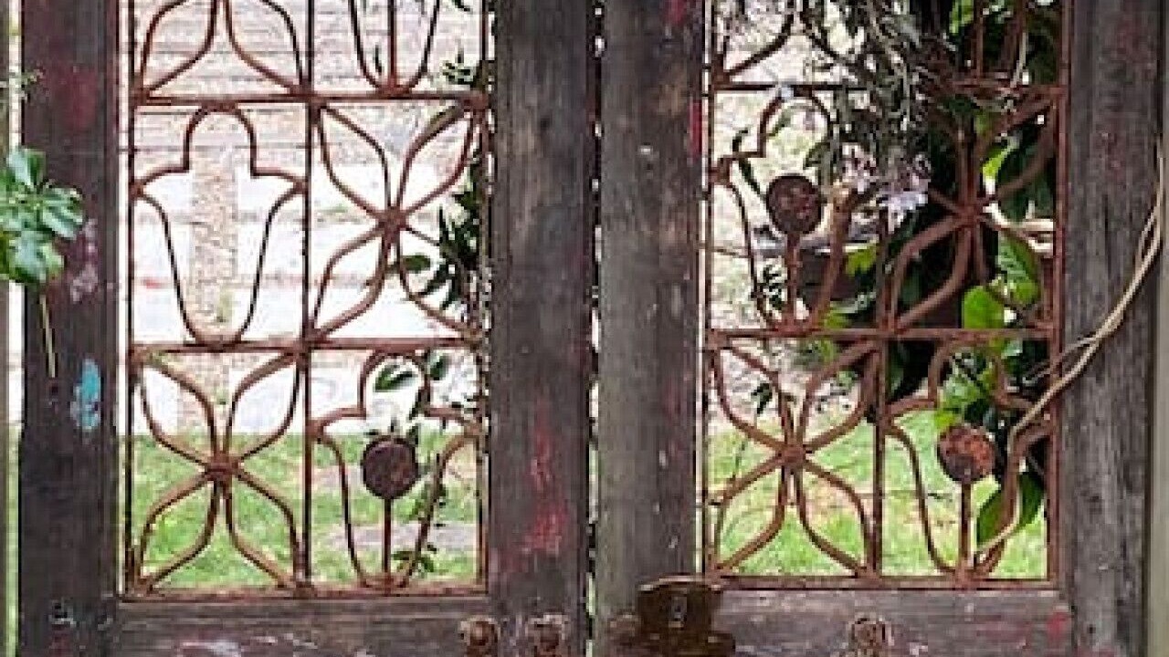 Photo of Outdoor in Mullumbimby