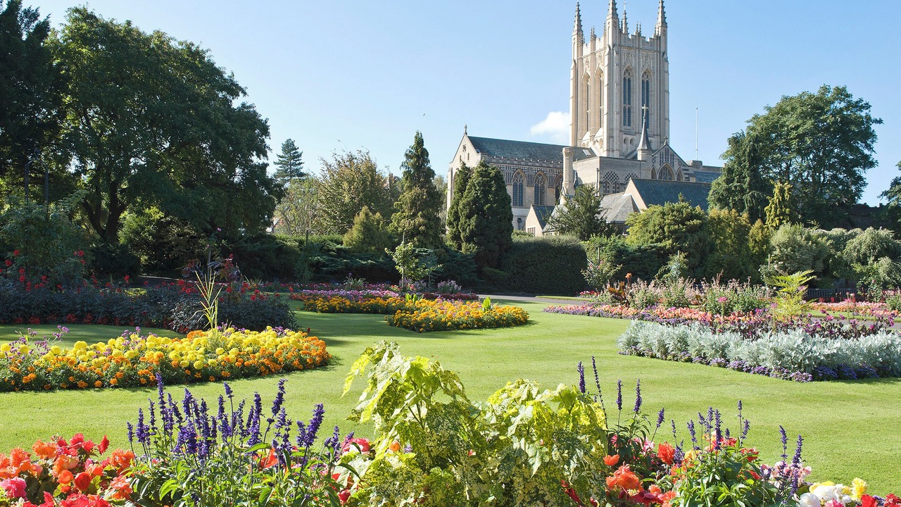 Photo of Others in Eye