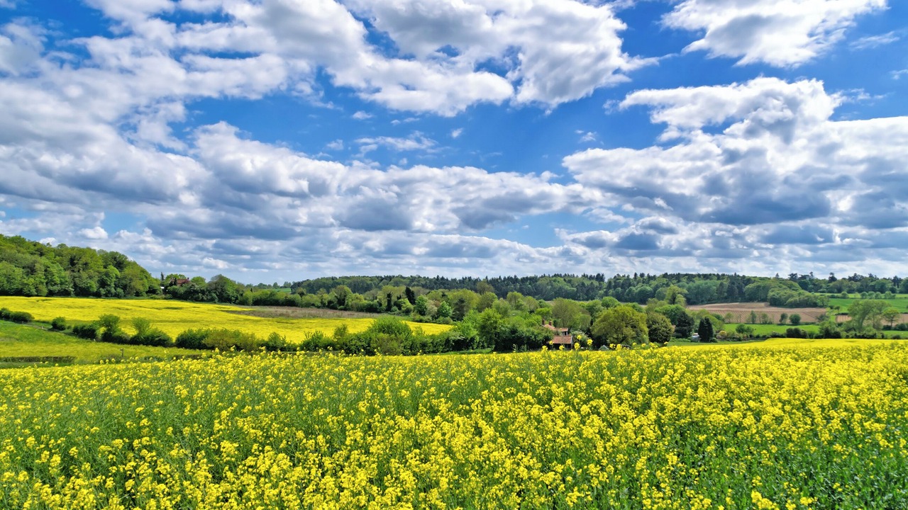 Photo of Others in Eye