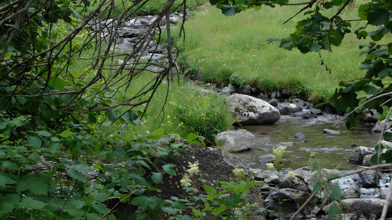 Photo of Others in Grust