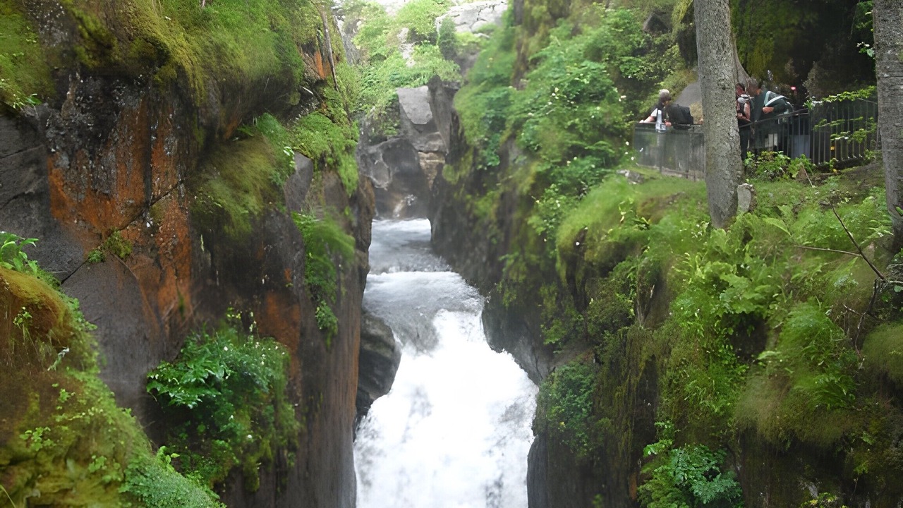 Photo of Others in Grust