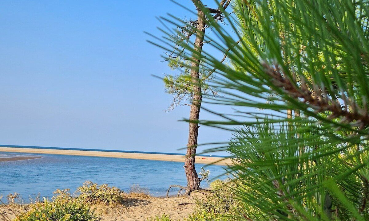 Photo of Others in Jard-sur-Mer
