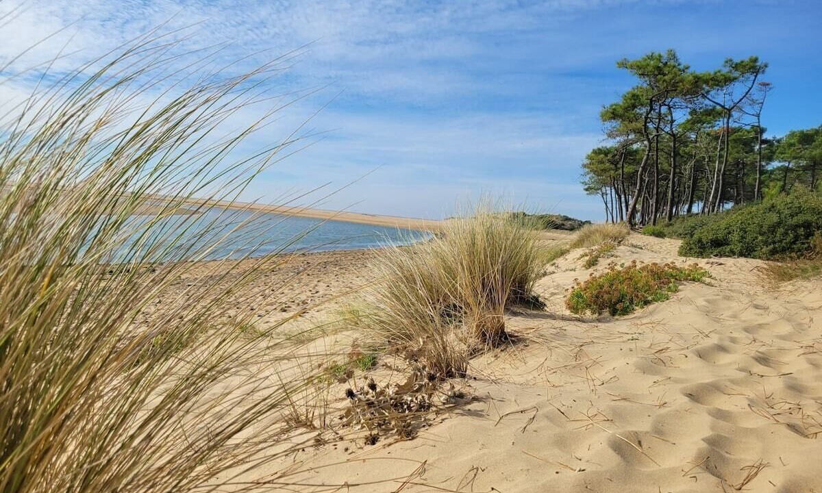 Photo of Others in Jard-sur-Mer