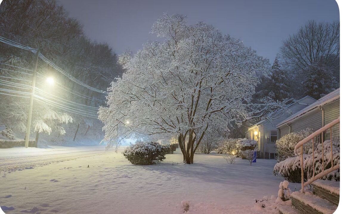 Photo of Outdoor in South Brookline