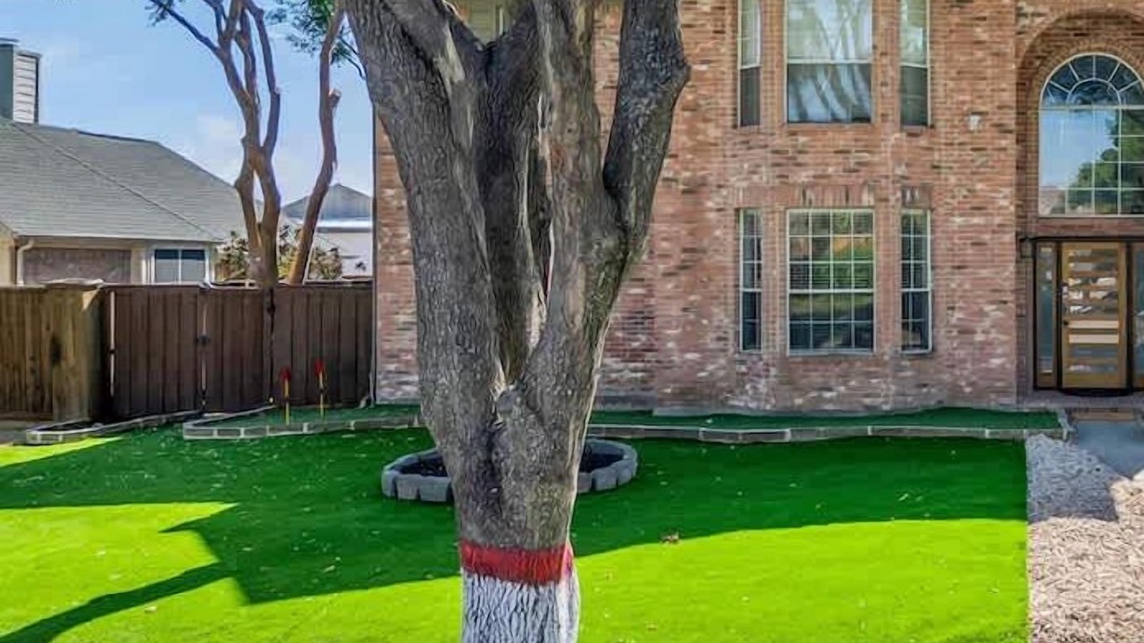 Photo of Outdoor in Plano