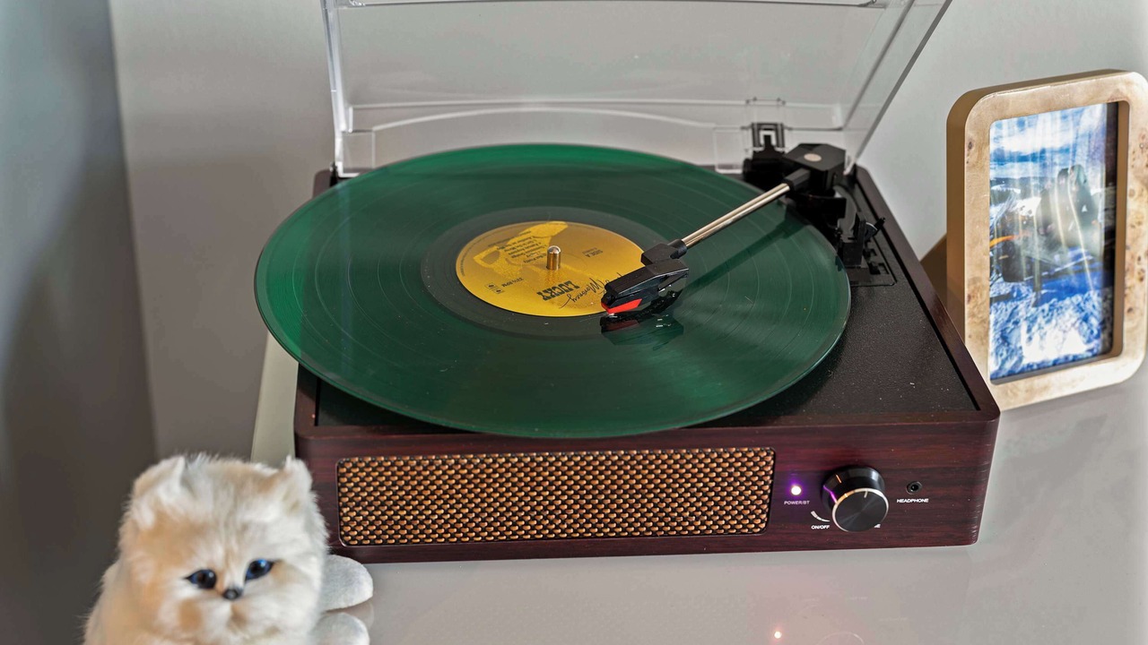 Photo of Others in Shawmut