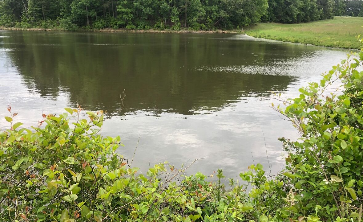 Photo of Others in Roxboro