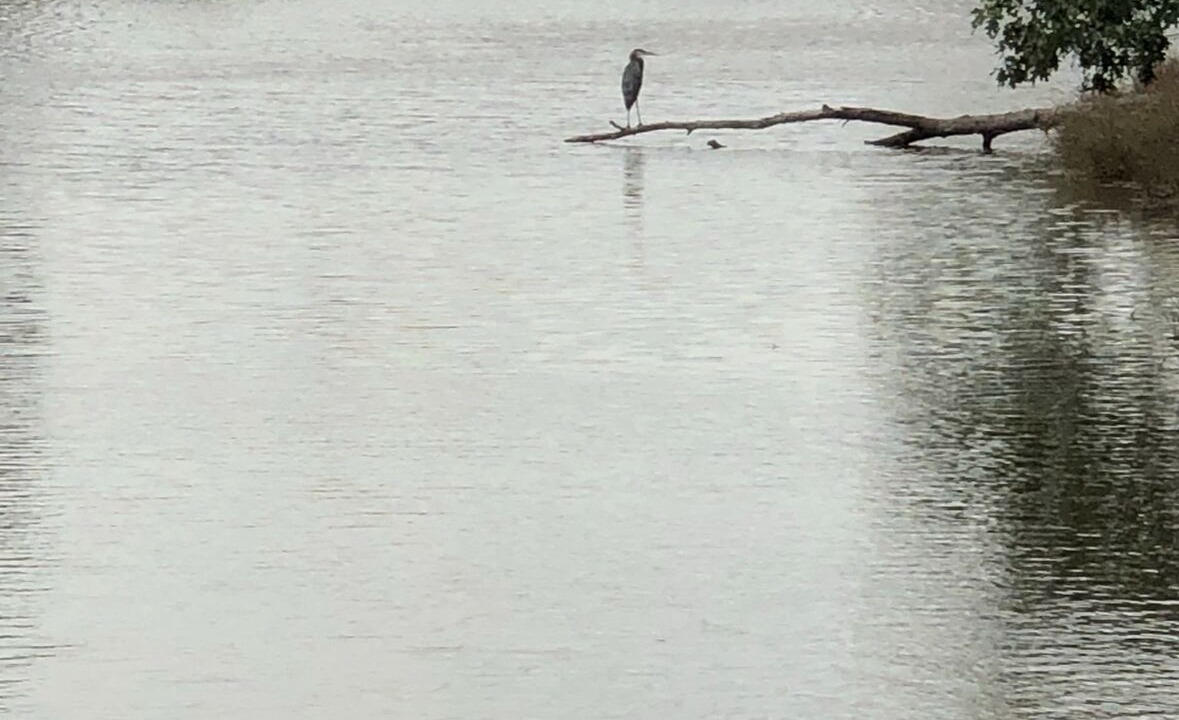 Photo of Others in Roxboro