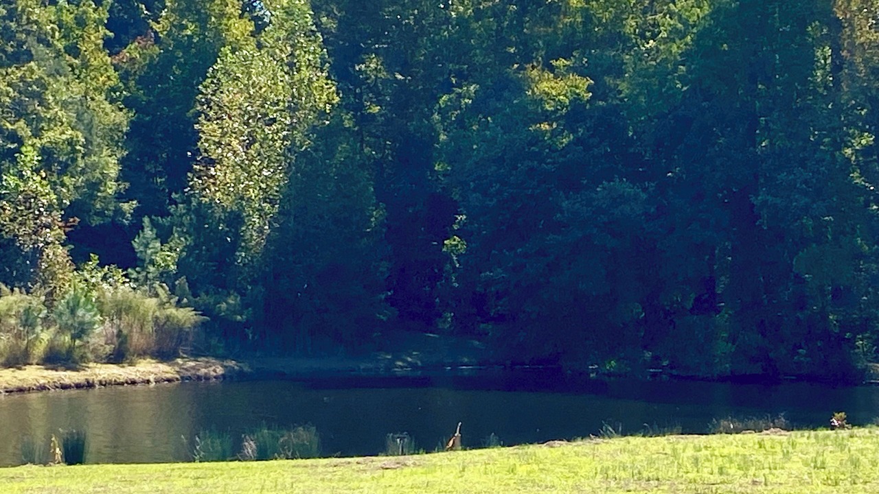 Photo of Others in Roxboro