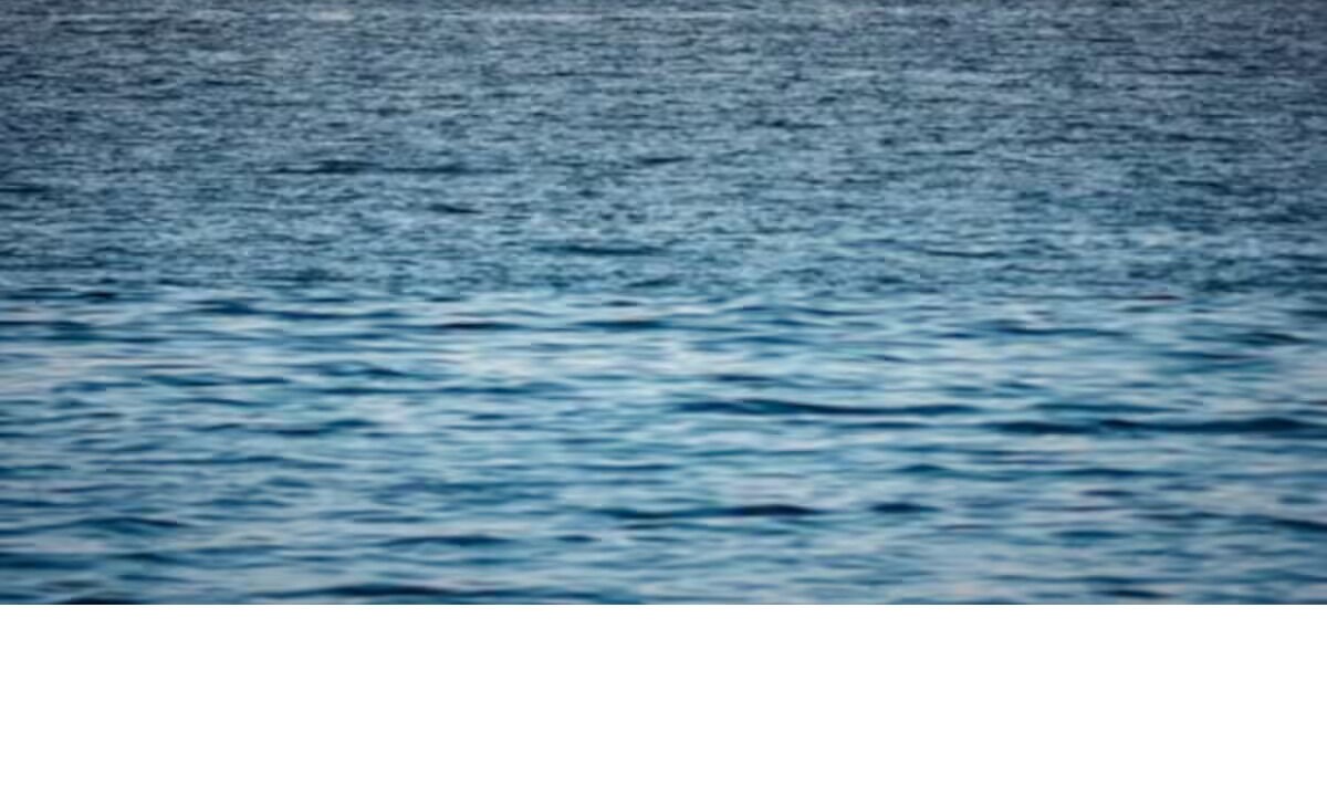 Photo of Others in Mission Bay