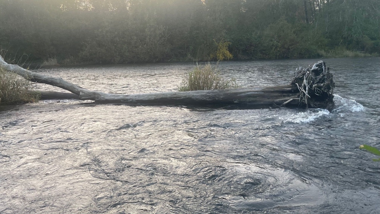 Photo of Others in Elma