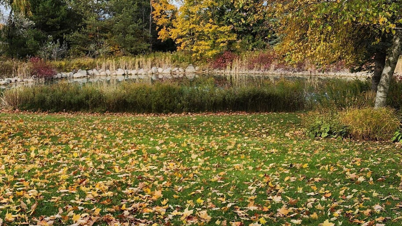 Photo of Others in Erin