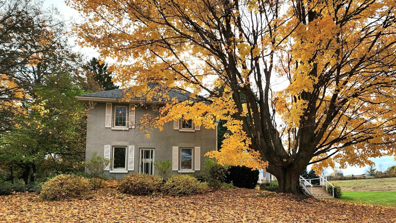 Photo of Outdoor in Erin