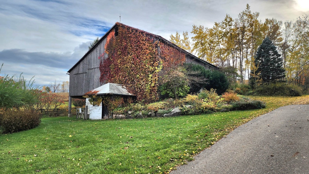 Photo of Outdoor in Erin